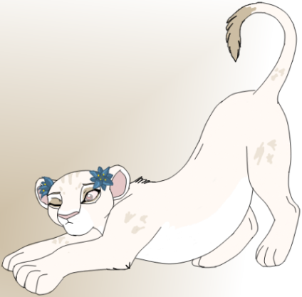 Cub Calypso