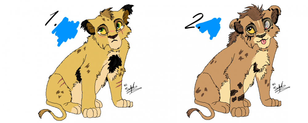 Adoptable Cubs
