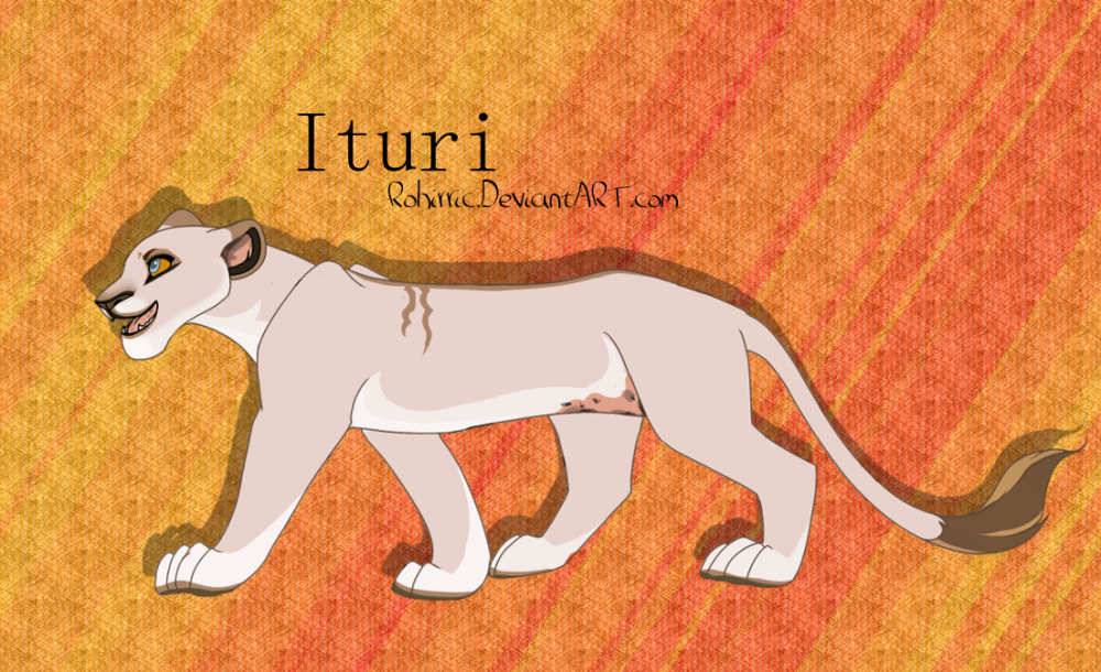 Ituri The Mess