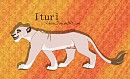 Ituri The Mess
