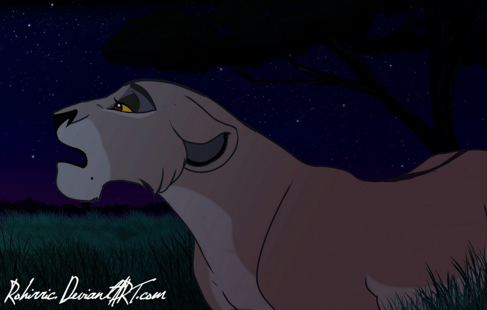 Zira's Stars
