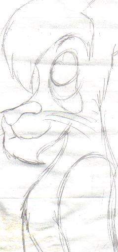 Scanned lion
