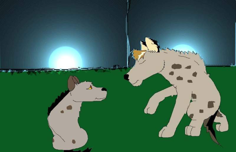 Tis Hyena Time