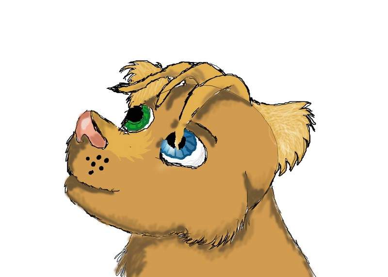 Noodly lion