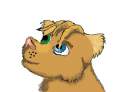 Noodly lion