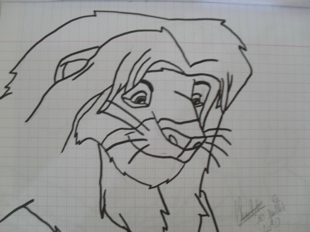 Simba face