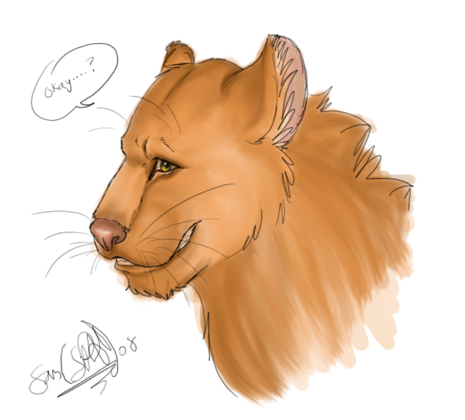 random lioness