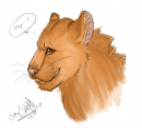 random lioness
