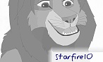 Raven the lioness