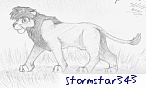 stormstar343