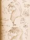 Kovu and Japenese! 