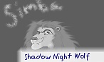 Shadow Night Wolf
