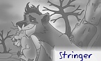 stringer