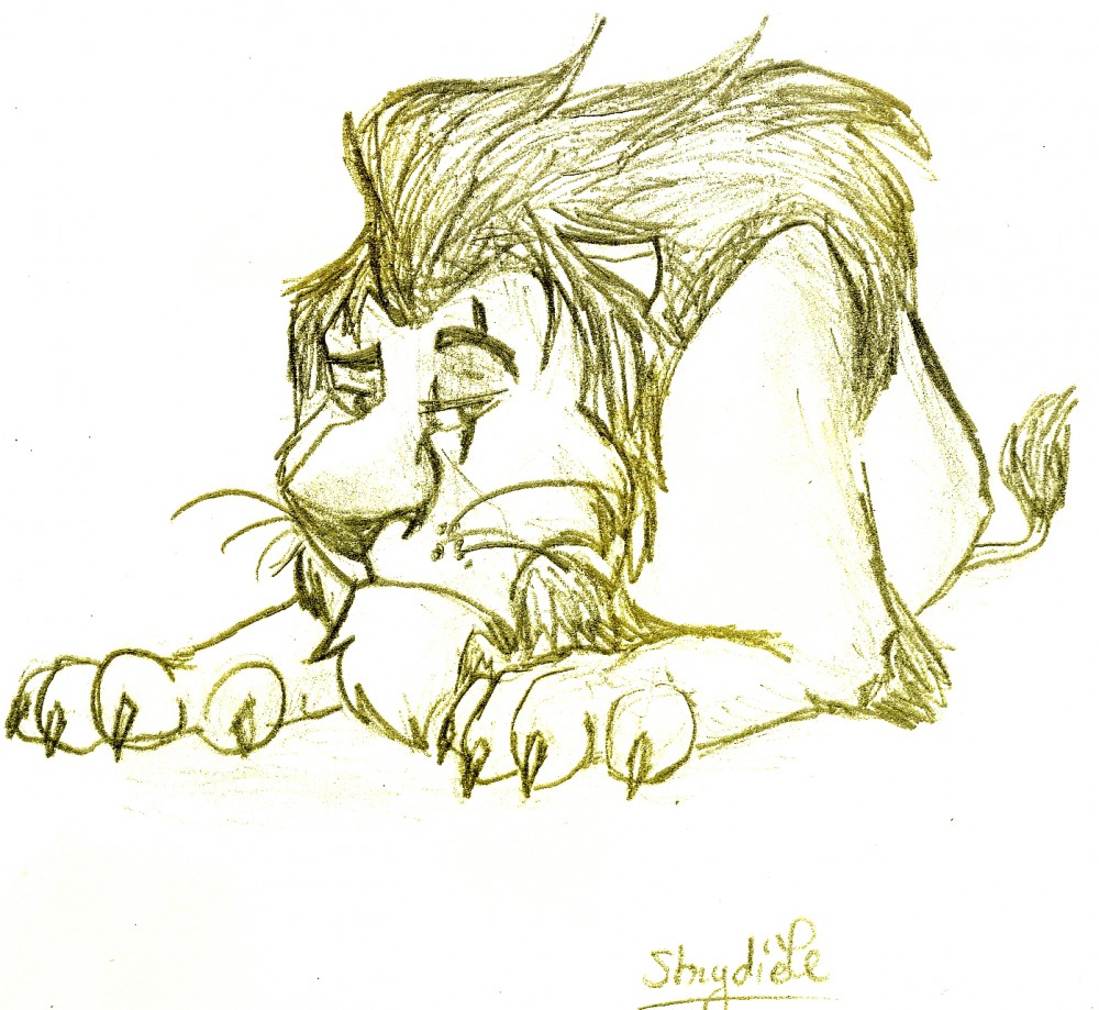 Scar - Croquis