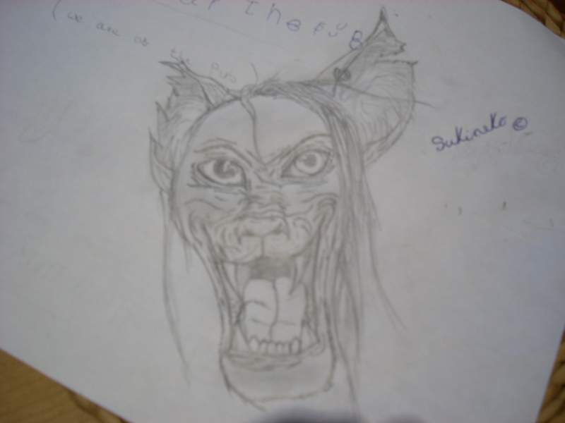 Random doodle