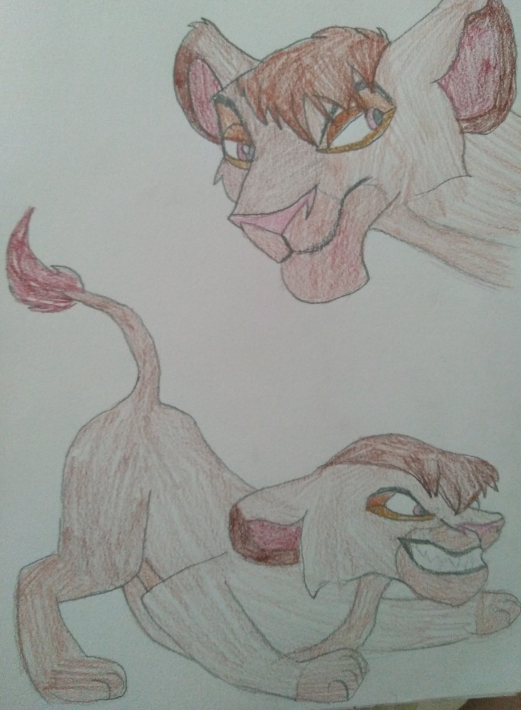 Reference sheet 