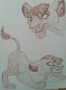 Reference sheet 
