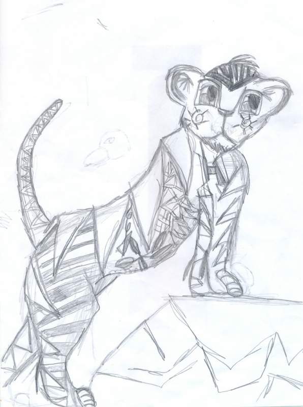 desiger