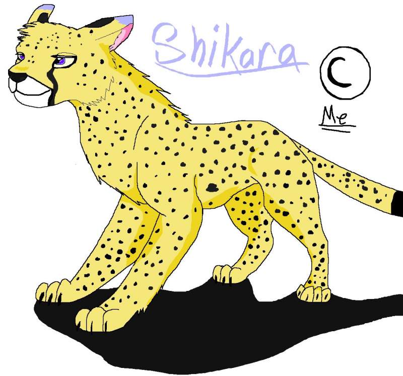 Shikara