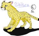 Shikara