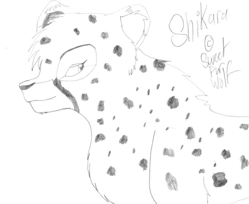 Shikara, My Fursona