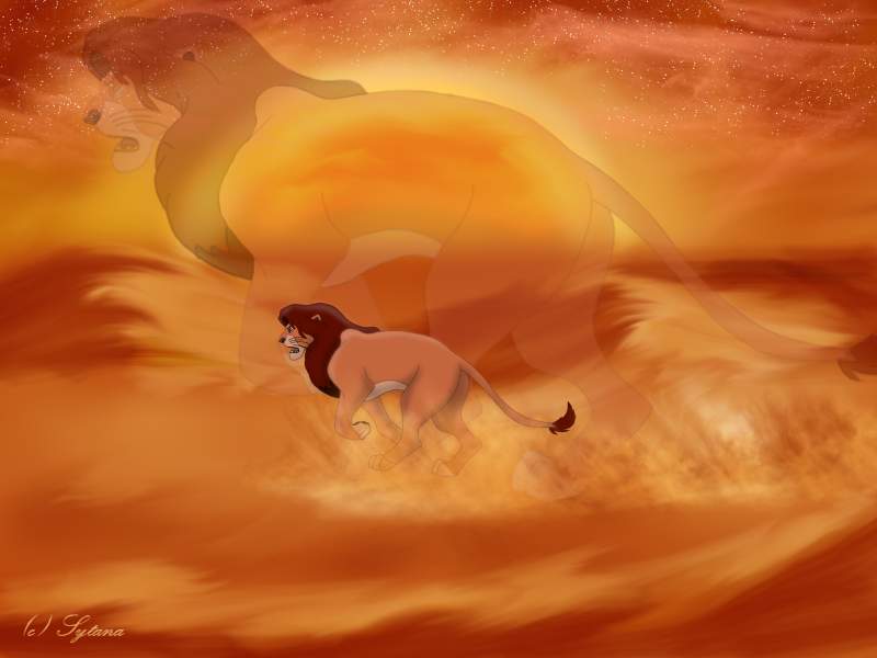 Simba - across the desert