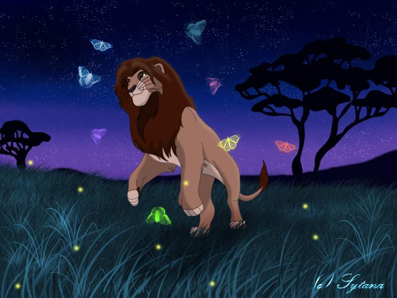 Simba-playing with butterflies