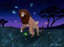 Simba-playing with butterflies