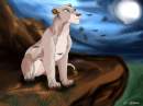 Nala on the rock