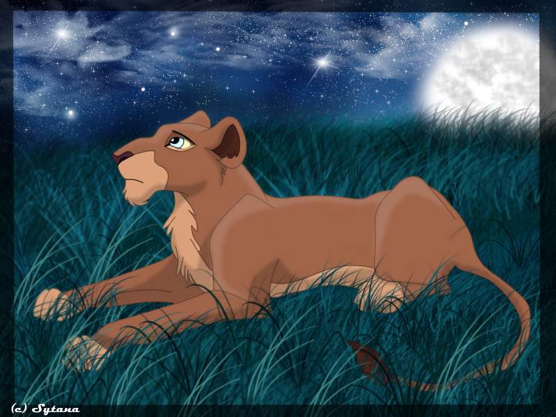 Nala under the sky