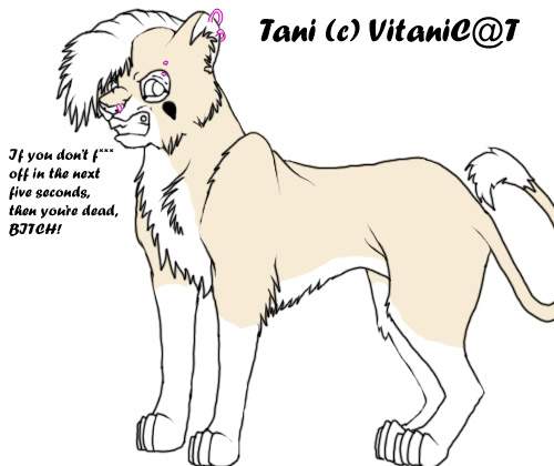 Tani - Unfinished
