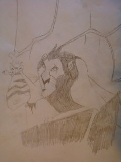 Scar with the zebra meat