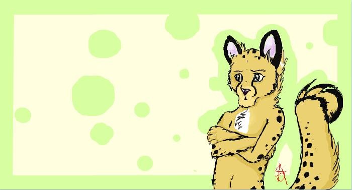 Random Cheetah Anthro.