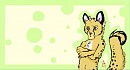 Random Cheetah Anthro.
