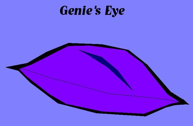Genie's Eye