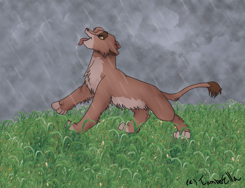 'Tani in the rain