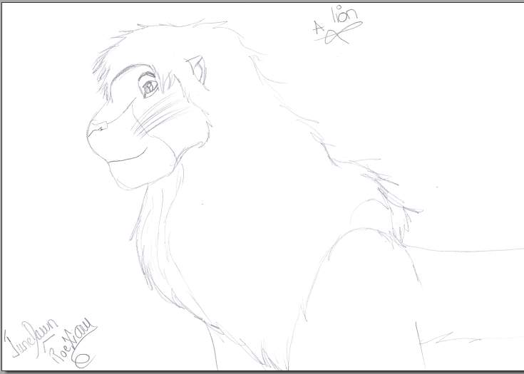 un lion