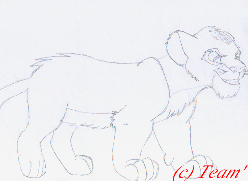 Damon, croquis.
