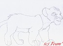 Damon, croquis.