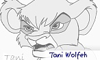 Tani Wolfeh