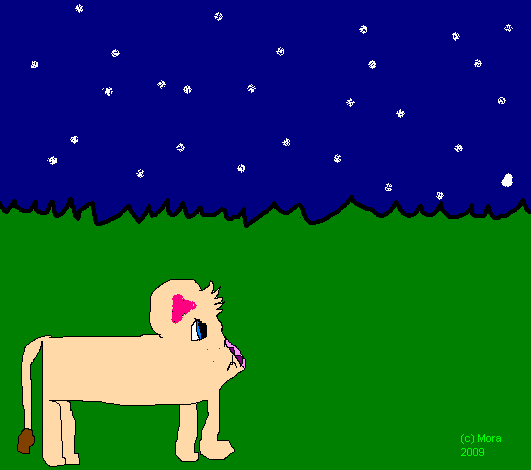 Starry Night