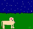 Starry Night
