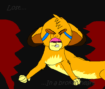 Lost In A Broken Heart