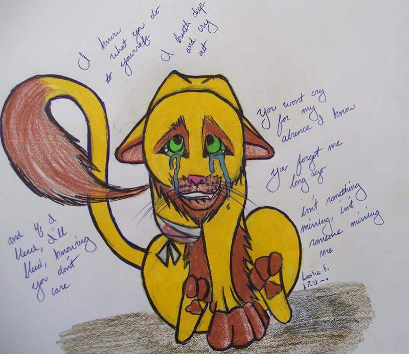 Stop animal abuse