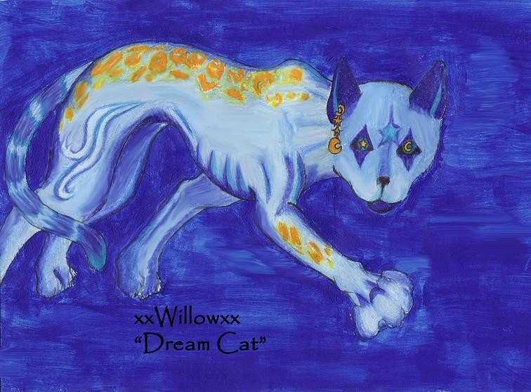 Dream cat