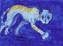 Dream cat