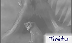 Timitu
