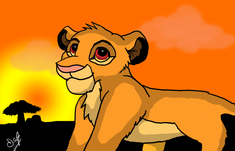 boga sunset