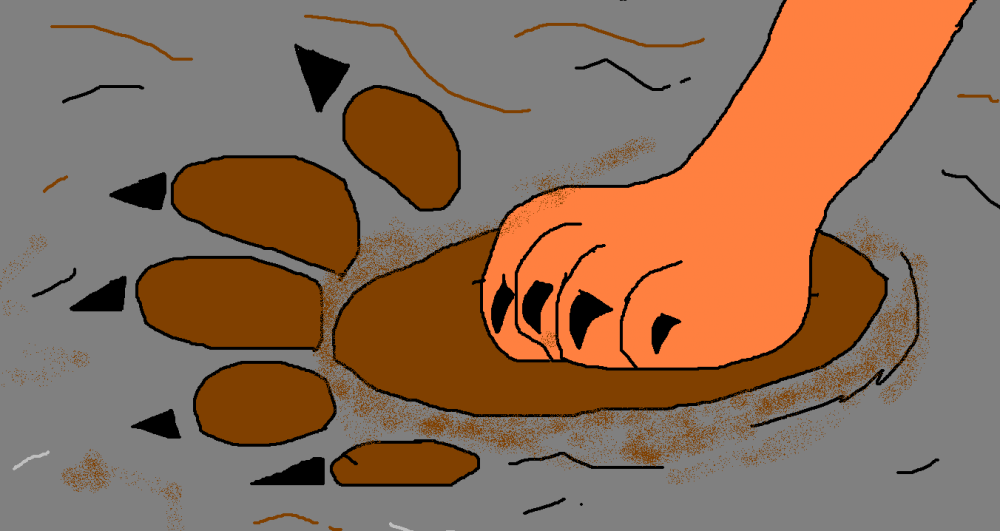 paws
