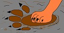 paws
